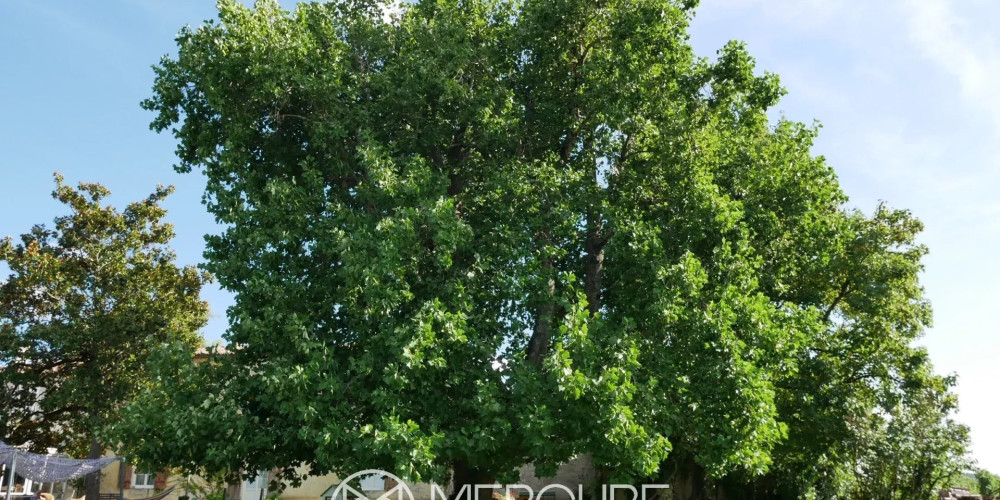 maison à STE FOY LA GRANDE (33220)